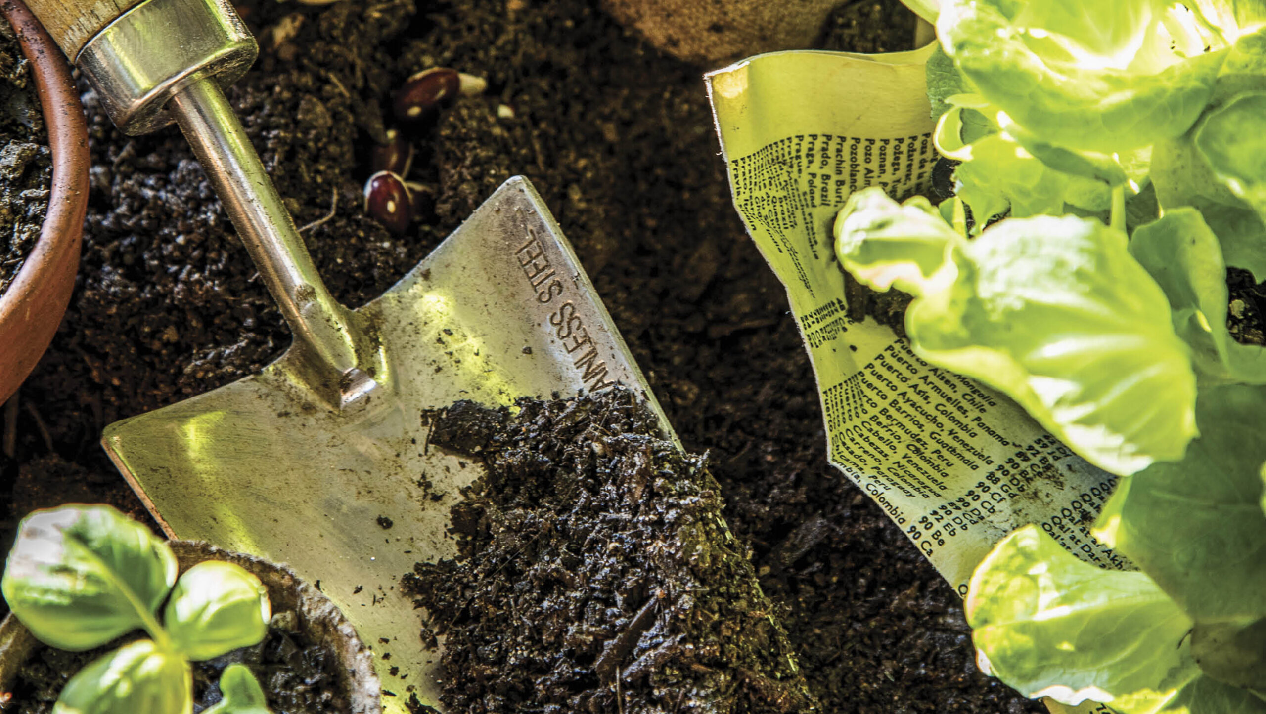 Healthy soil will help get your plants through a hot summer.